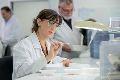 February 2025 / LAB-Grain-Analasys_250203-_Z9C0606