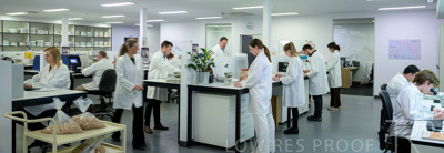 February 2025 / LAB-LAB-Overview_250203-_Z9C3229