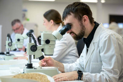 February 2025 / LAB-MICROSCOPE_250203-_Z9C1748