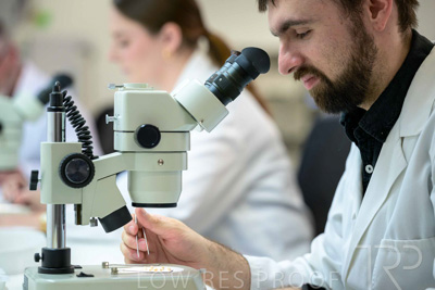 February 2025 / LAB-MICROSCOPE_250203-_Z9C1831