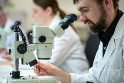 February 2025 / LAB-MICROSCOPE_250203-_Z9C1842