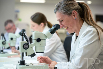 February 2025 / LAB-MICROSCOPE_250203-_Z9C1888