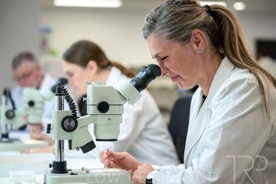 February 2025 / LAB-MICROSCOPE_250203-_Z9C1895