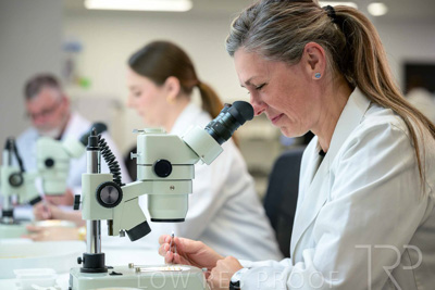 February 2025 / LAB-MICROSCOPE_250203-_Z9C1944