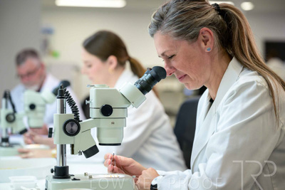 February 2025 / LAB-MICROSCOPE_250203-_Z9C1949