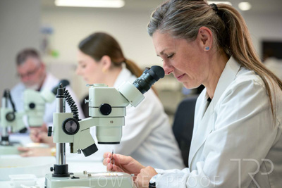 February 2025 / LAB-MICROSCOPE_250203-_Z9C1961