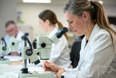 February 2025 / LAB-MICROSCOPE_250203-_Z9C1973