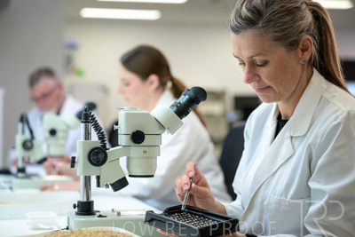 February 2025 / LAB-MICROSCOPE_250203-_Z9C2070