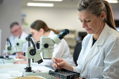 February 2025 / LAB-MICROSCOPE_250203-_Z9C2077