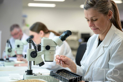 February 2025 / LAB-MICROSCOPE_250203-_Z9C2100