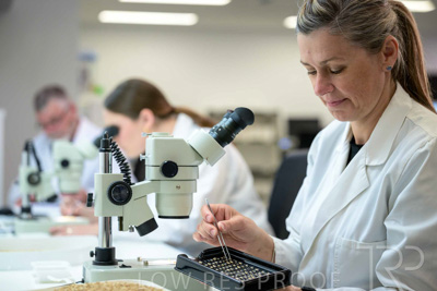 February 2025 / LAB-MICROSCOPE_250203-_Z9C2113