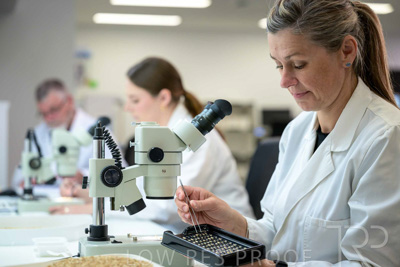 February 2025 / LAB-MICROSCOPE_250203-_Z9C2117