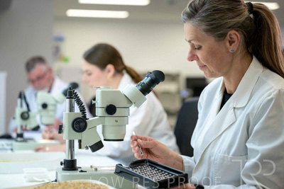 February 2025 / LAB-MICROSCOPE_250203-_Z9C2127