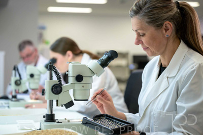 February 2025 / LAB-MICROSCOPE_250203-_Z9C2133