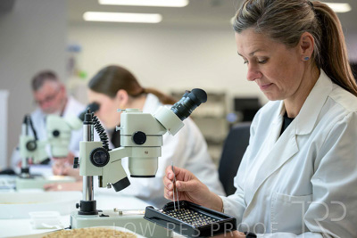 February 2025 / LAB-MICROSCOPE_250203-_Z9C2138