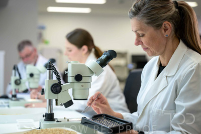 February 2025 / LAB-MICROSCOPE_250203-_Z9C2158