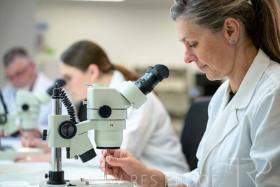 February 2025 / LAB-MICROSCOPE_250203-_Z9C2199