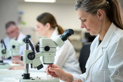 February 2025 / LAB-MICROSCOPE_250203-_Z9C2220