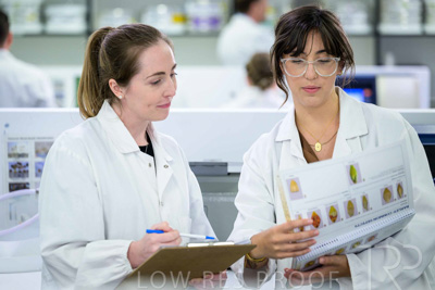 February 2025 / LAB-TRAINING-TEAMWORK_250203-_Z9C1001