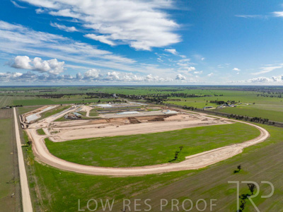 August 2025 / WOLSLEY-250801-DJI_0661