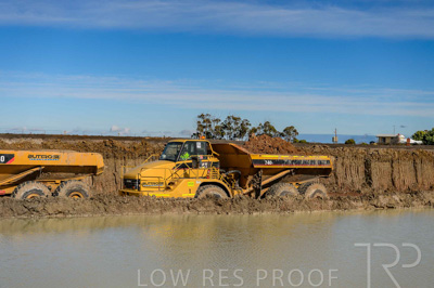 August 2025 / WOLSLEY-250801-_D4P5784