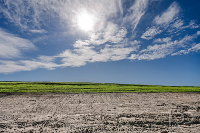 August 2025 / WOLSLEY-250801-_D4P5798