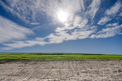 August 2025 / WOLSLEY-250801-_D4P5799