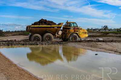 August 2025 / WOLSLEY-250801-_D4P5804