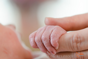 January 2015 / BURNSIDE_BABY_107_150121