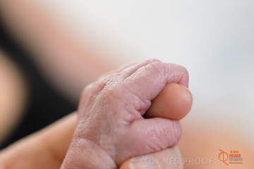 January 2015 / BURNSIDE_BABY_123_150121