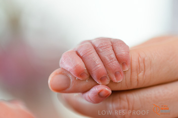 January 2015 / BURNSIDE_BABY_152_150121