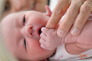 January 2015 / BURNSIDE_BABY_352_150121