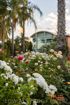 February 2015 / BH_GARDEN_006_150220