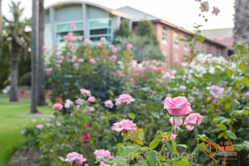 February 2015 / BH_GARDEN_009_150220