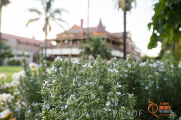 February 2015 / BH_GARDEN_014_150220