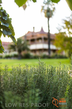 February 2015 / BH_GARDEN_028_150220