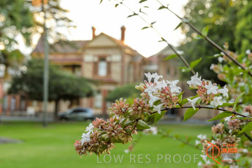 February 2015 / BH_GARDEN_043_150220