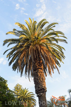 February 2015 / BH_GARDEN_047_150220