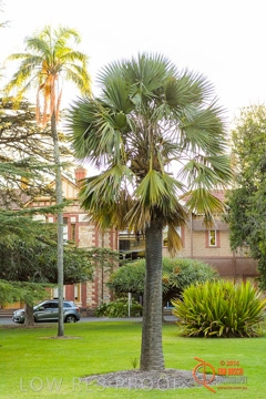 February 2015 / BH_GARDEN_050_150220