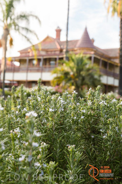 February 2015 / BH_GARDEN_093_150220