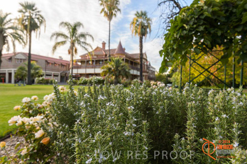 February 2015 / BH_GARDEN_100_150220