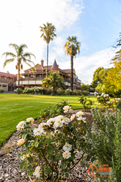 February 2015 / BH_GARDEN_115_150220