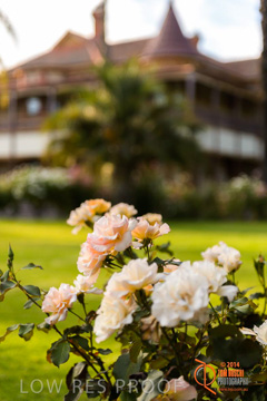 February 2015 / BH_GARDEN_116_150220