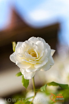 February 2015 / BH_GARDEN_133_150220