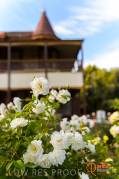 February 2015 / BH_GARDEN_138_150220