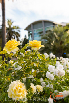 February 2015 / BH_GARDEN_149_150220