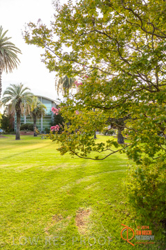 February 2015 / BH_GARDEN_175_150220