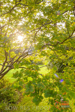 February 2015 / BH_GARDEN_186_150220