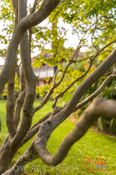 February 2015 / BH_GARDEN_191_150220