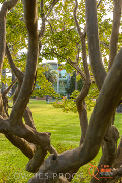 February 2015 / BH_GARDEN_197_150220